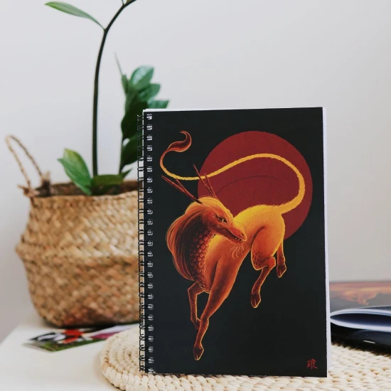 zeszyt do pisania znaków hanzi, zeszyt do hanzi, nauka pisania hanzi, zeszyt do znaków chińskich hanzi