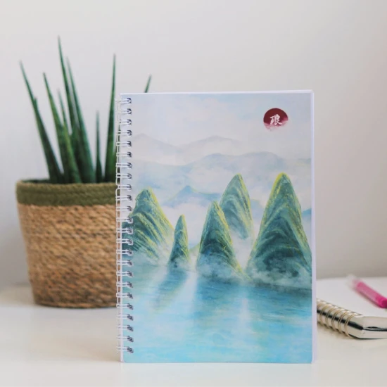 zeszyt do pisania znaków hanzi, chiński zeszyt, zeszyt do znaków chińskich hanzi