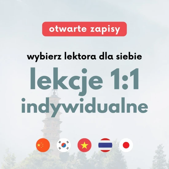 Kurs językowy 1 na 1, lekcje indywidualne, korepetycje z języków azjatyckich