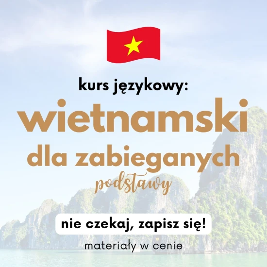 Kurs Wietnamski dla zabieganych od podstaw, Wietnamski dla zapracowanych