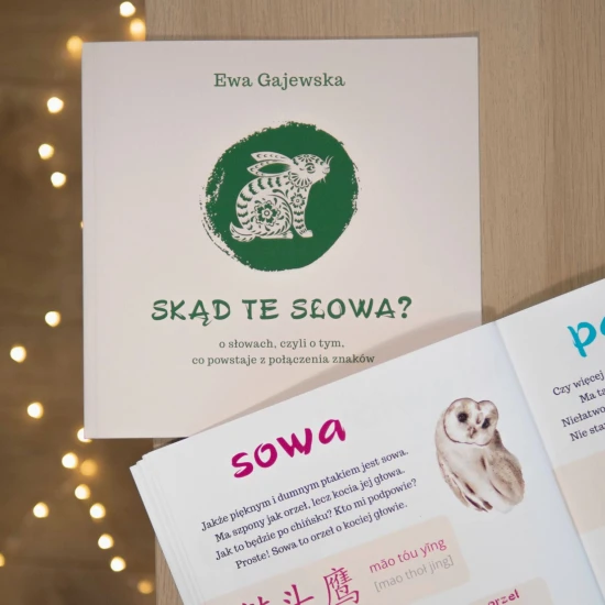 W KRZAKACH! - Skąd te słowa cz.3, okładka książki, chińska książeczka dla dzieci, nauka hanzi