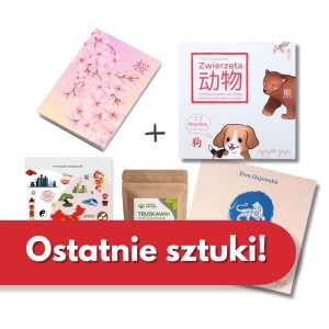 Zestaw chiński dla dziecka