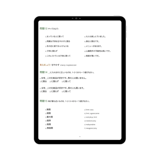 E-book JLPT N2 przykładowa strona