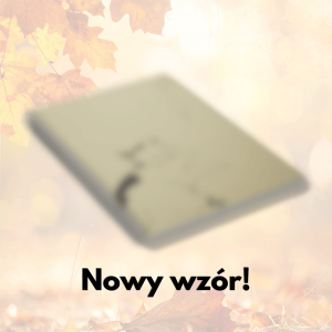 Zeszyt do kanji i hangula, kratka do znaków - nowy wzór